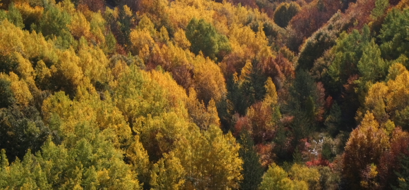 colors in the turkish mountains.JPG